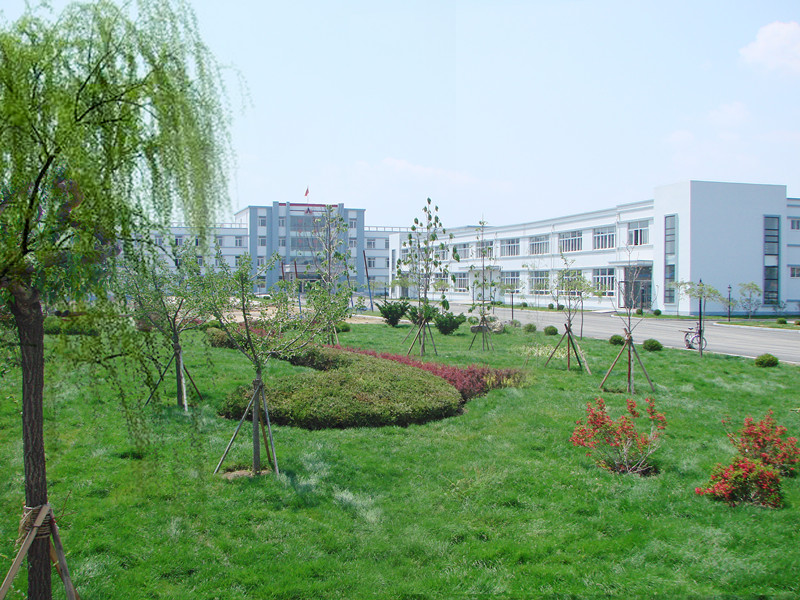 歡樂(lè)奧龍人，激昂青春夢(mèng)